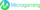 Microgaming